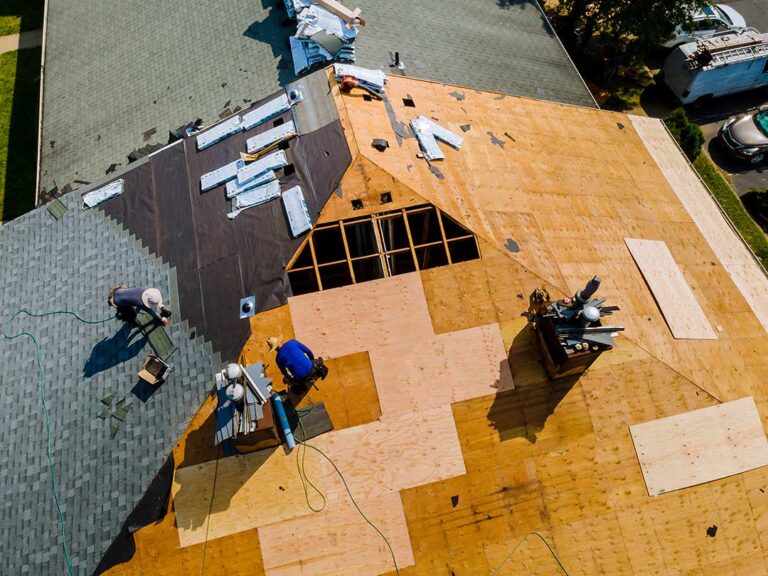 Sunlit asphalt shingles with faded areas and loose granules beside a residential roof gutter.